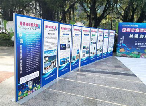 襄阳KT板的种类和知识。